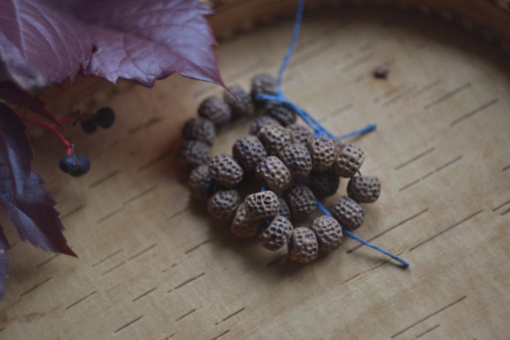 Набор бусин "Косточки"