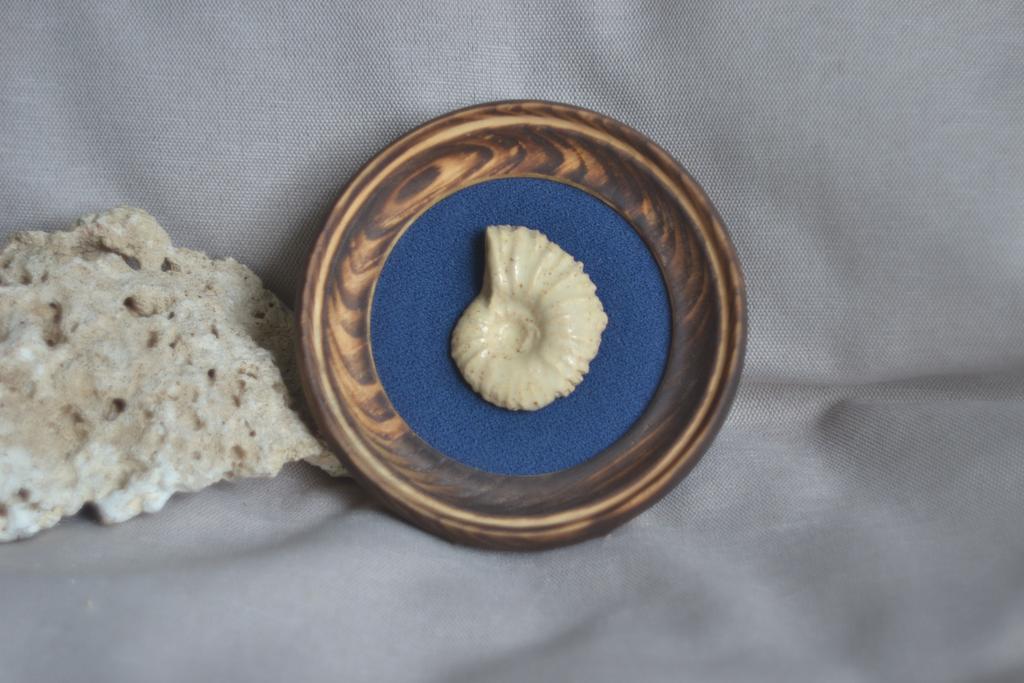 Панно на стену "аммонит"