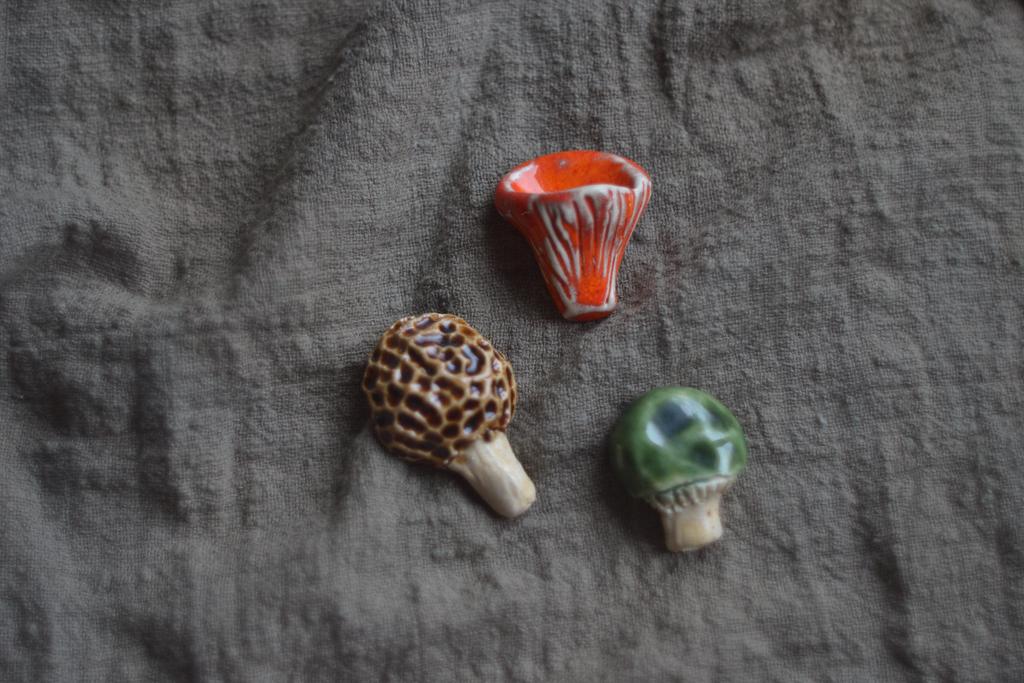 набор магнитов "грибы"