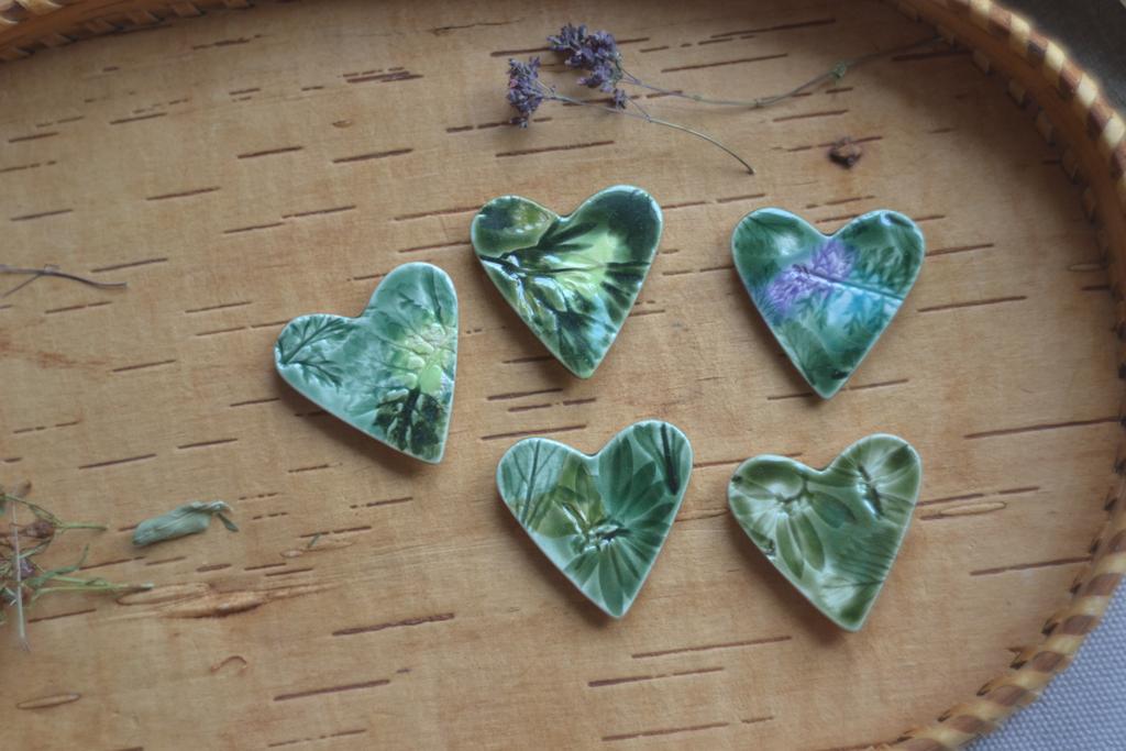 набор магнитов "Алтайские травы"