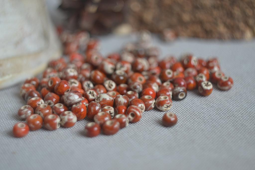 Набор из 50  бусин "перезревшая рябина"