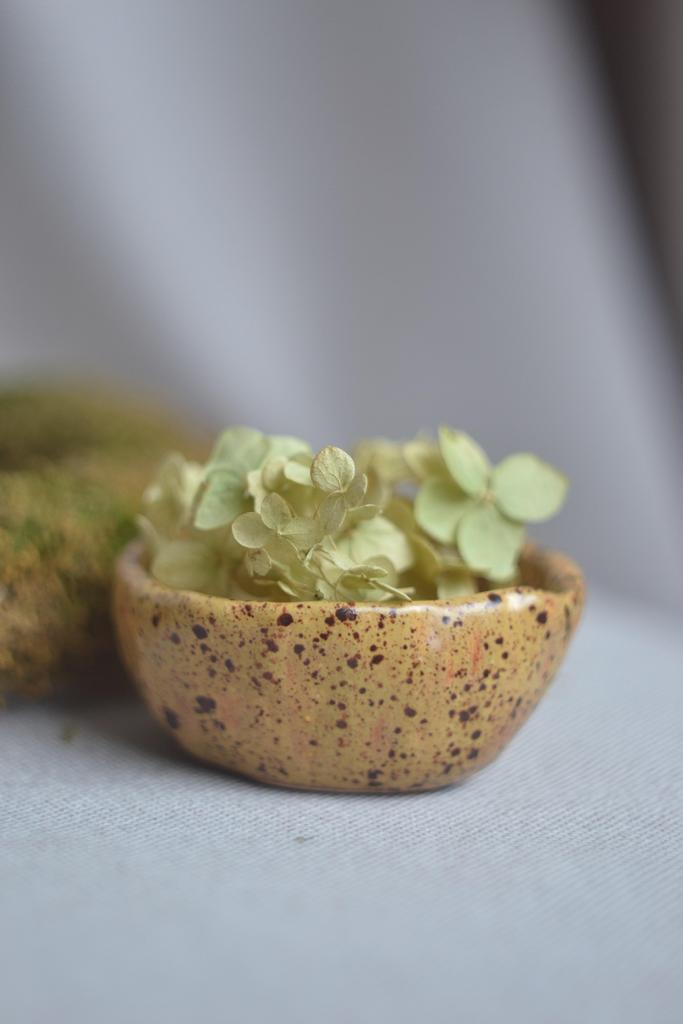 Мисочка "Скорлупка"