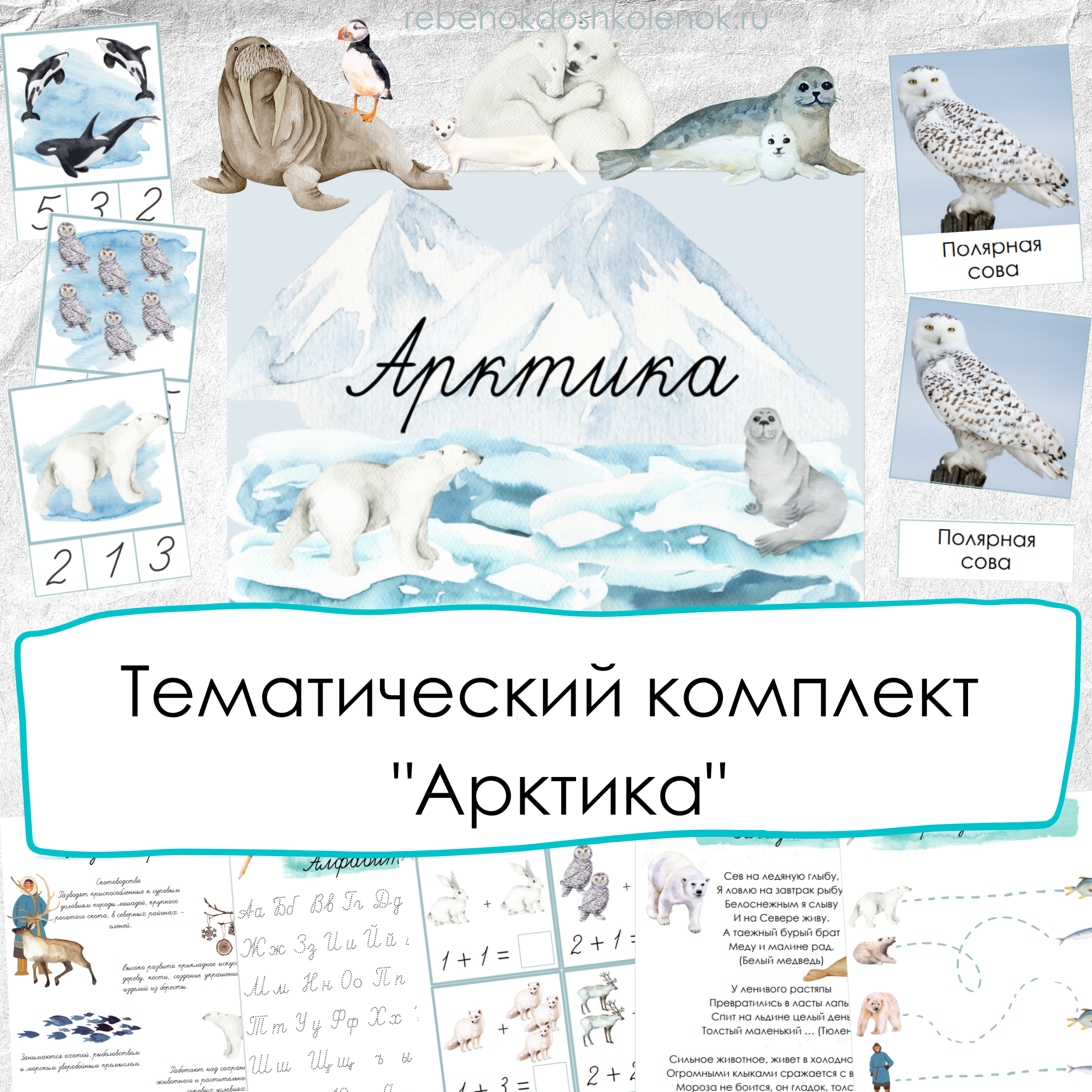 Арктика