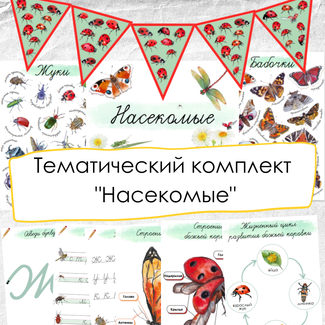 Насекомые