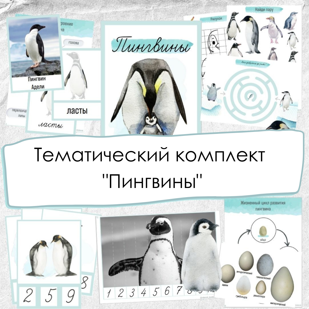 Пингвины