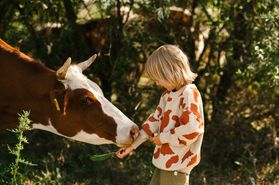 джемпер от рыжей коровы