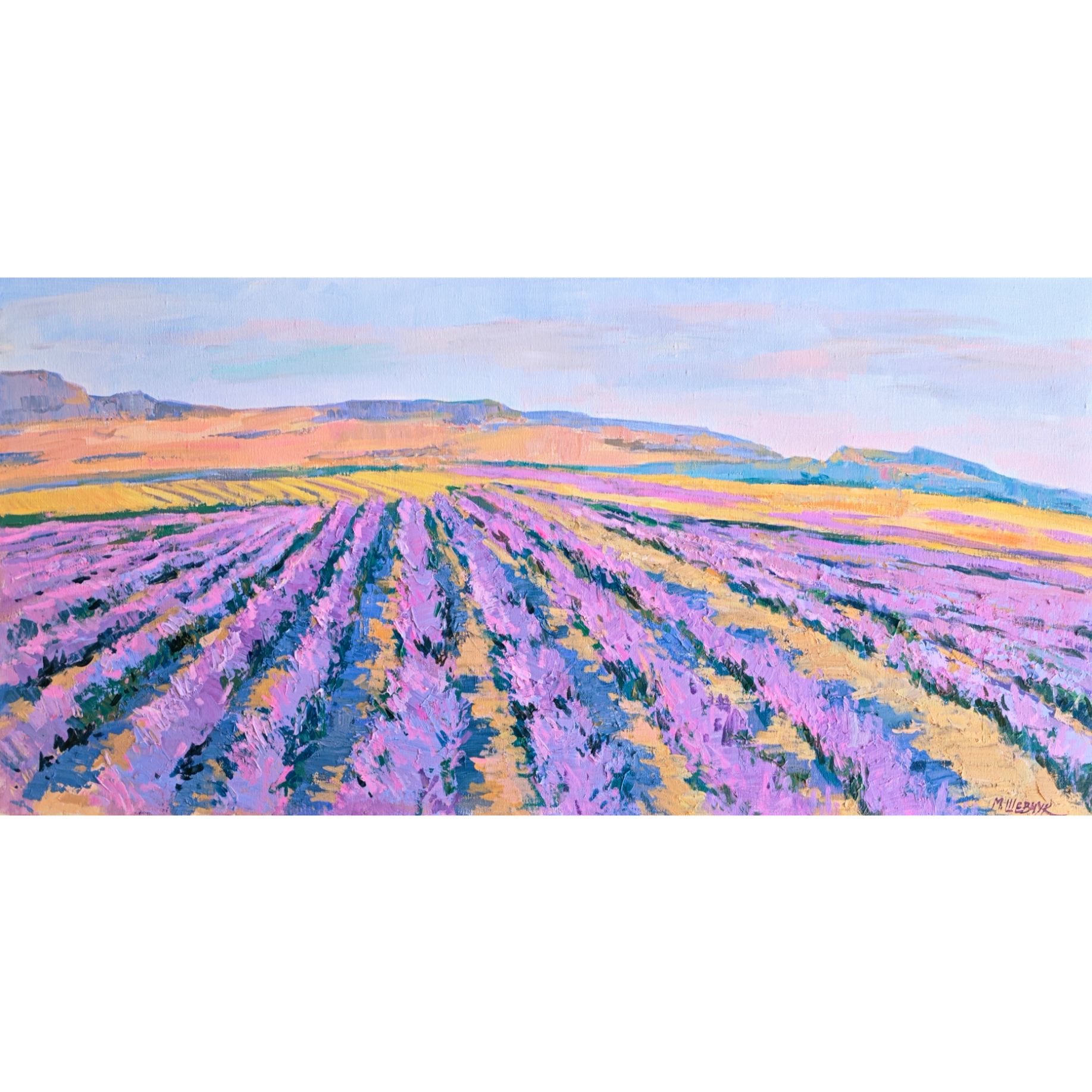 Вечереет. Лавандовое поле в Тургеневке 50х100, холст, акрил, 2025