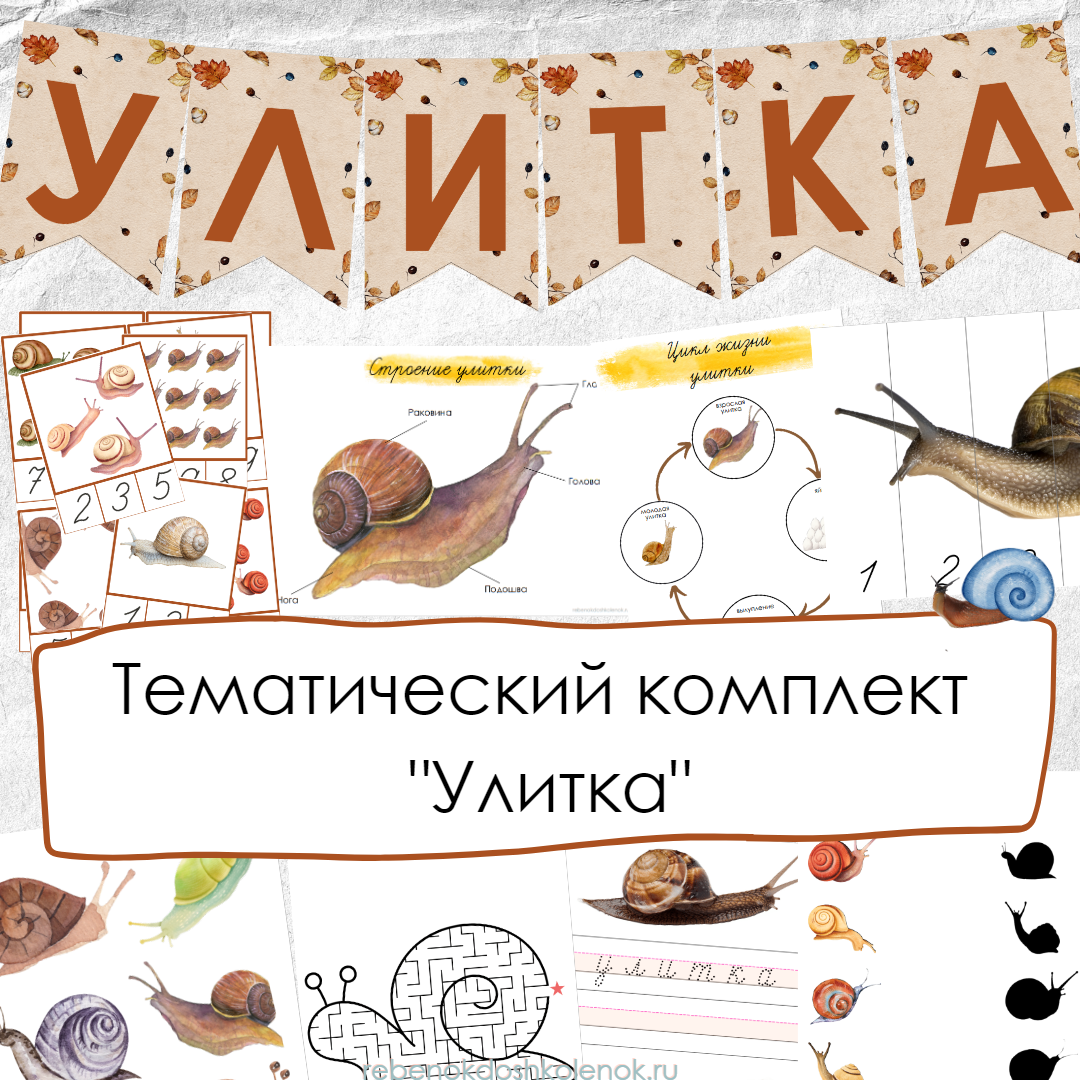 Улитка
