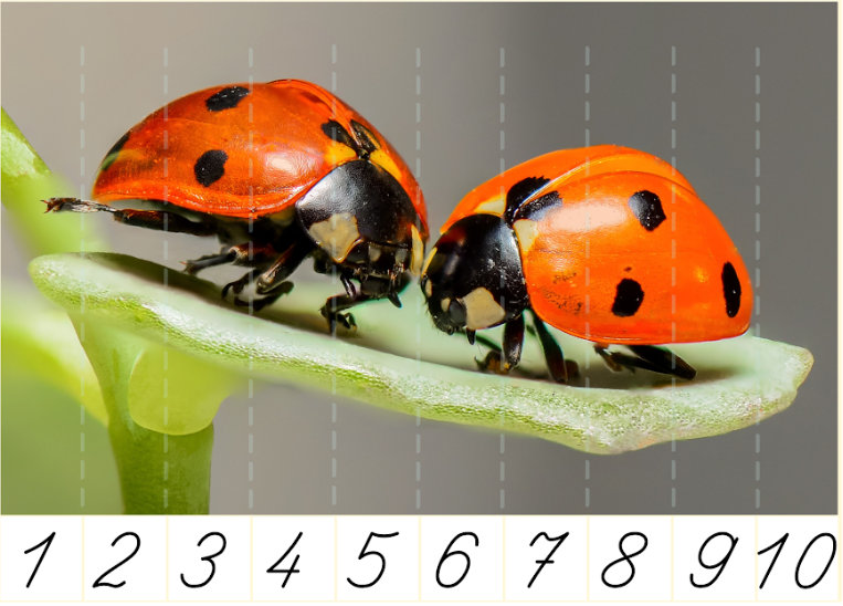 Математический пазл