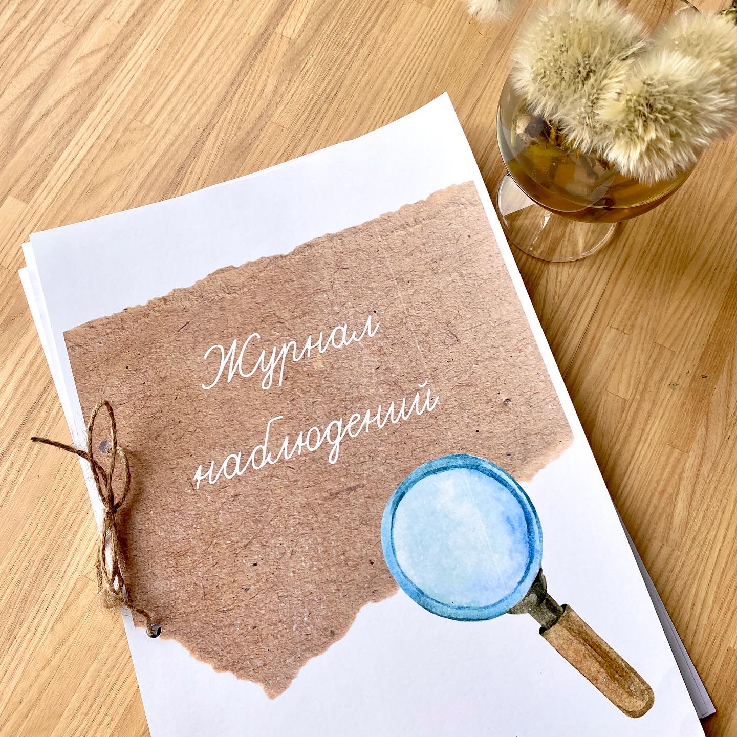 Журнал наблюдений