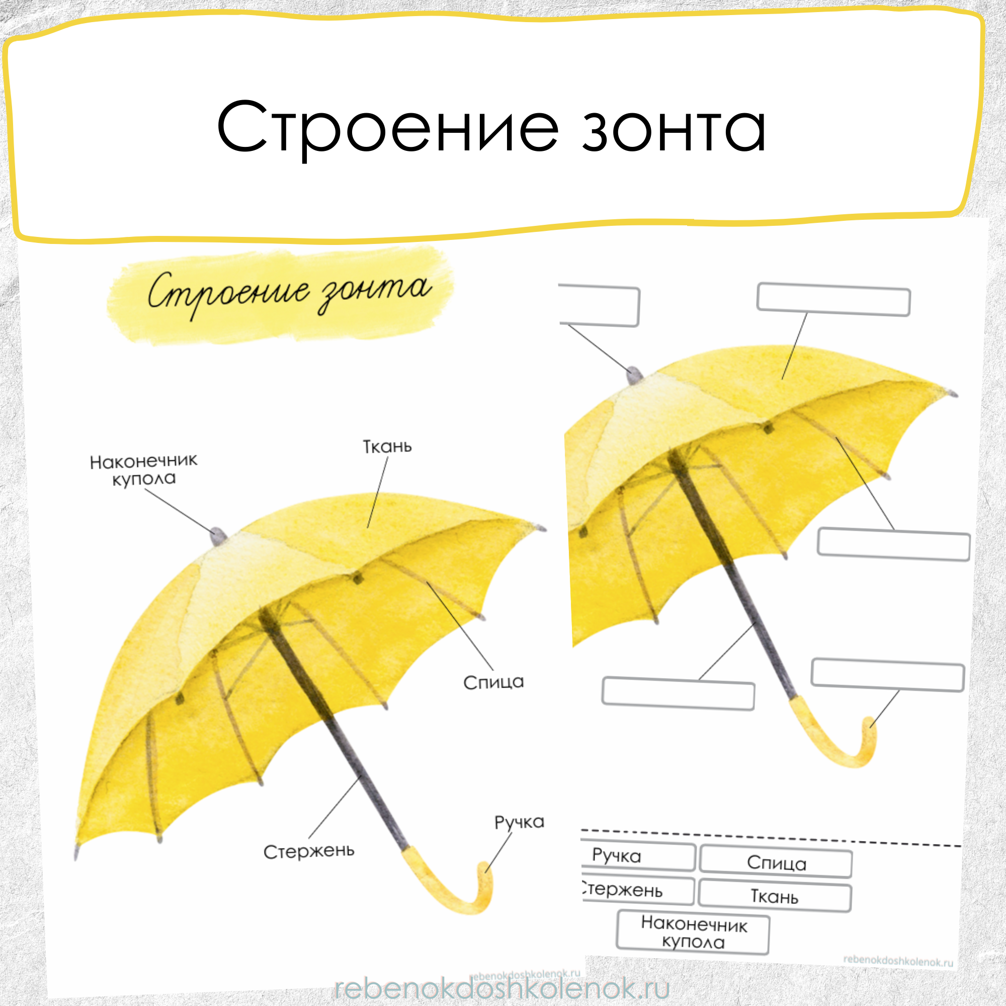 Строение зонта