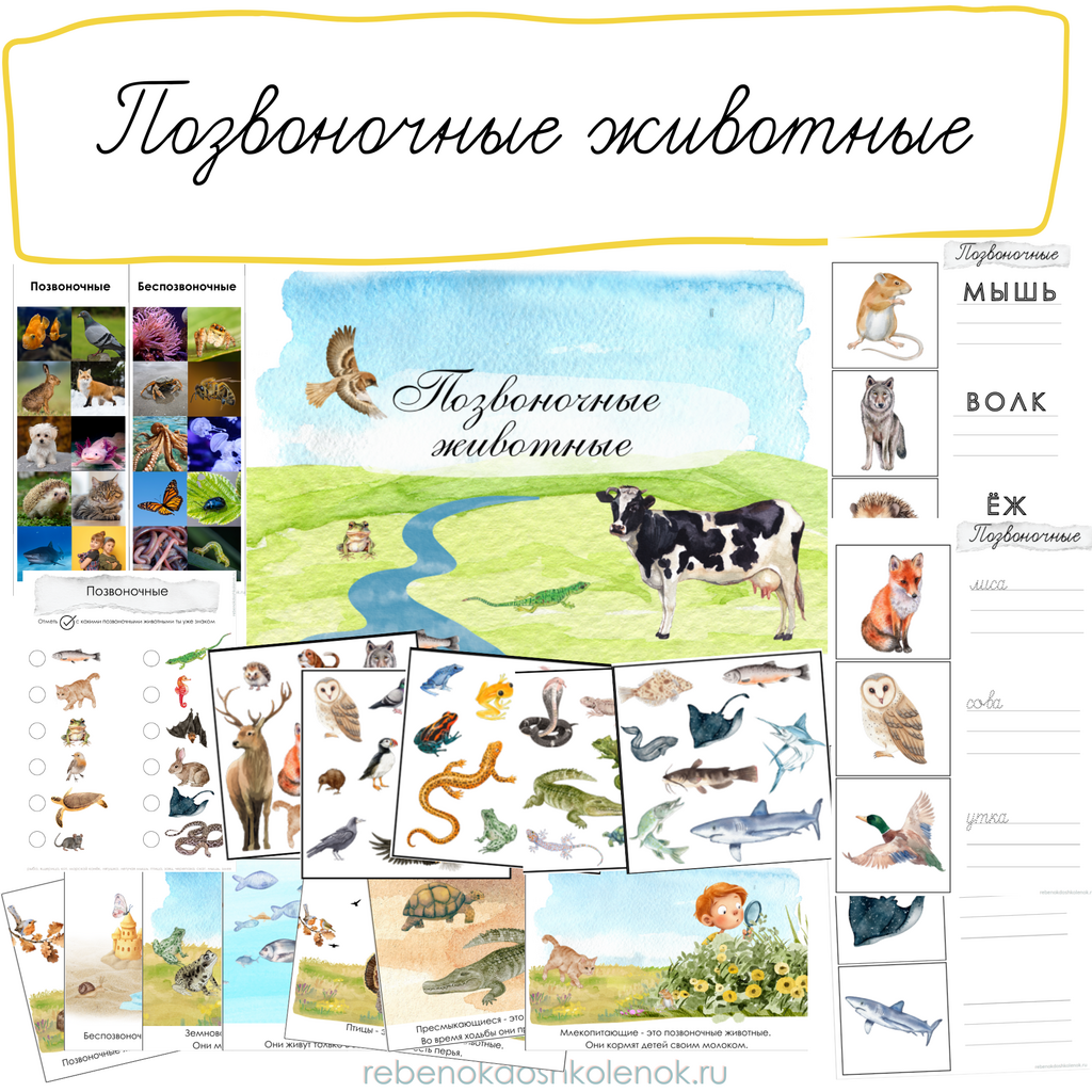 Позвоночные животные