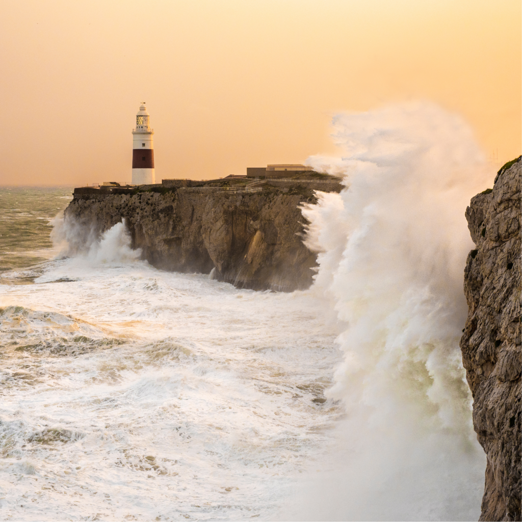 Воля. Вдохновение. Идея