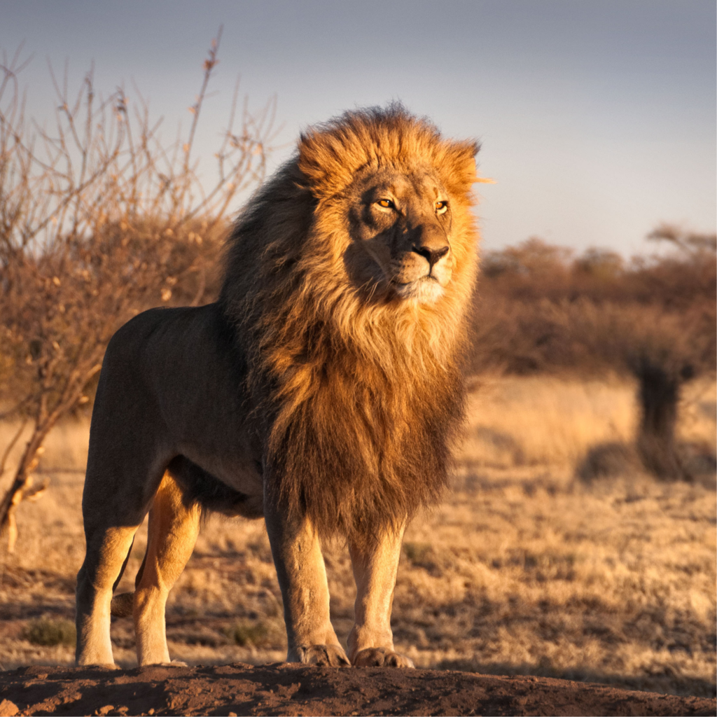 Безопасность. Мужество. Баланс