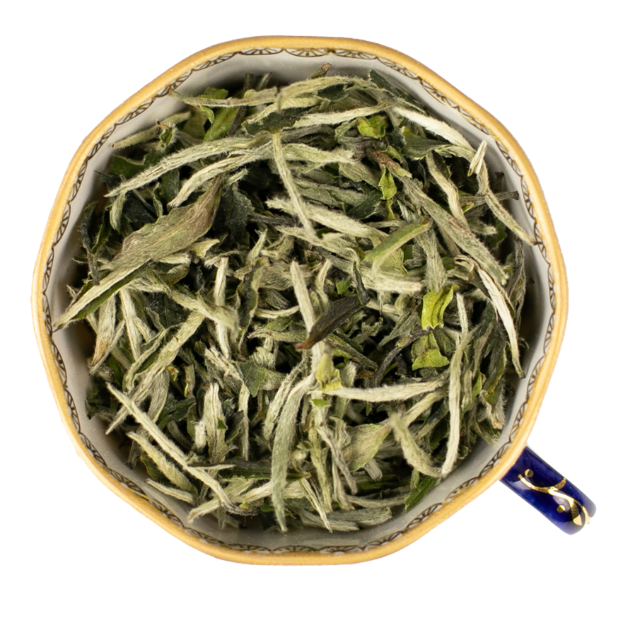 Белый Пион Императорский (Бай Му Дань Ван), Pr