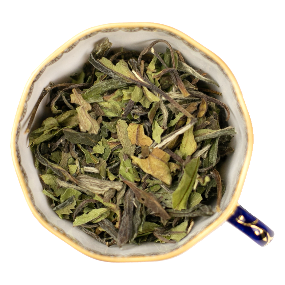 Белый Пион (Бай Му Дань), St