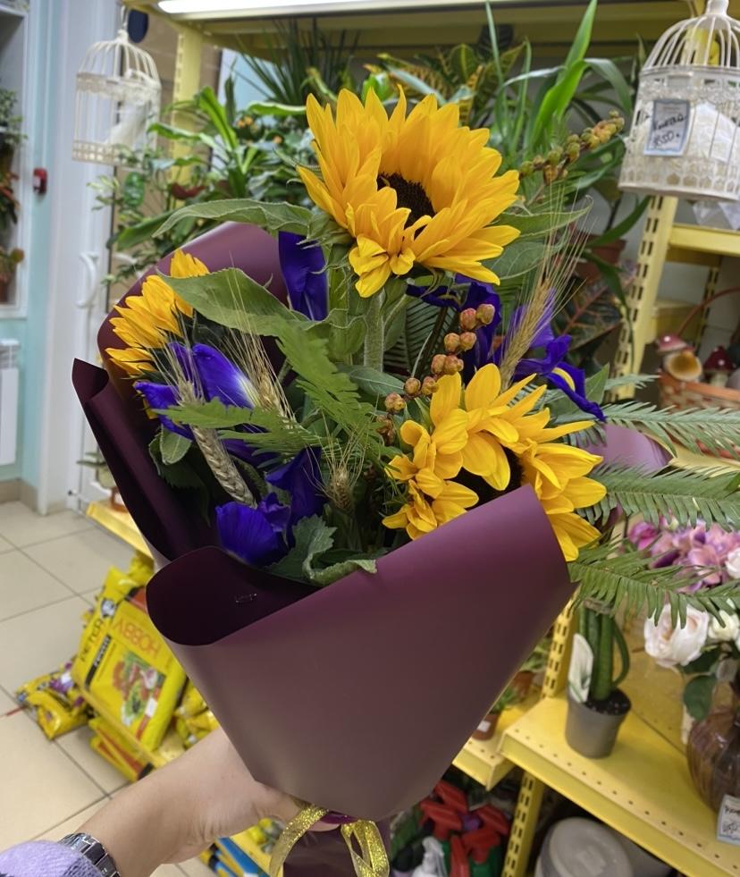 Подсолнухи,,Хит,,