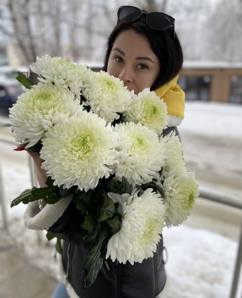 Хризантема одноголовая