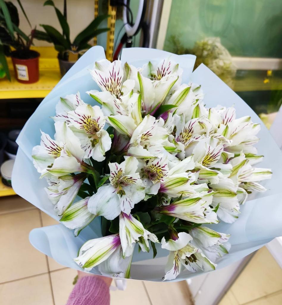 Букет из альстромерии