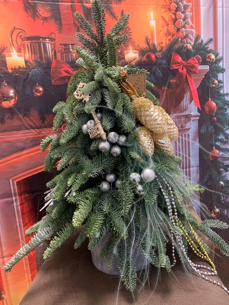 Елка «Госпожа метелица»