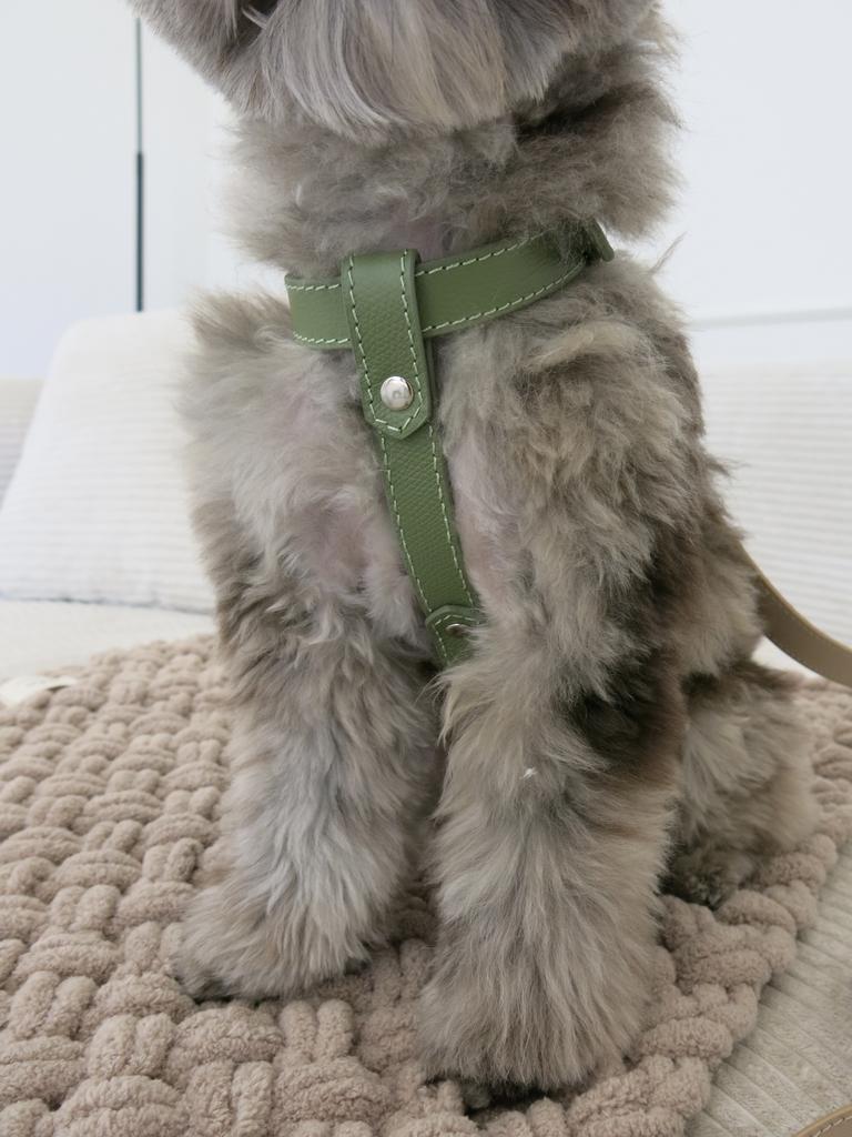 Шлейка зеленая