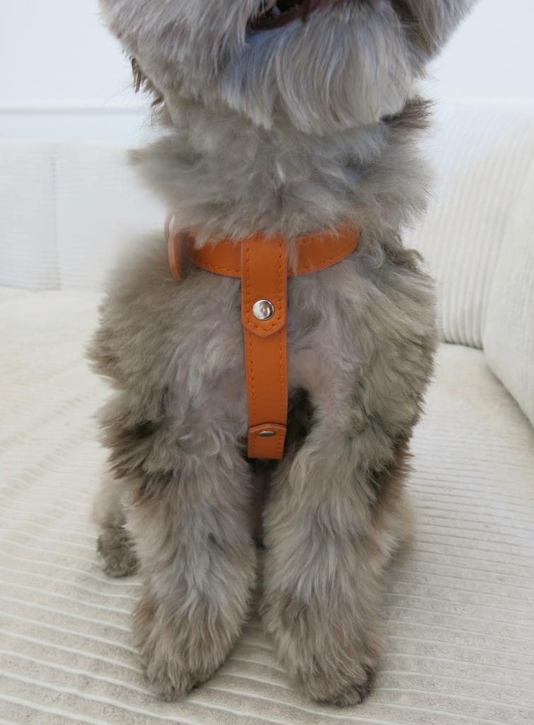 Шлейка оранжевая