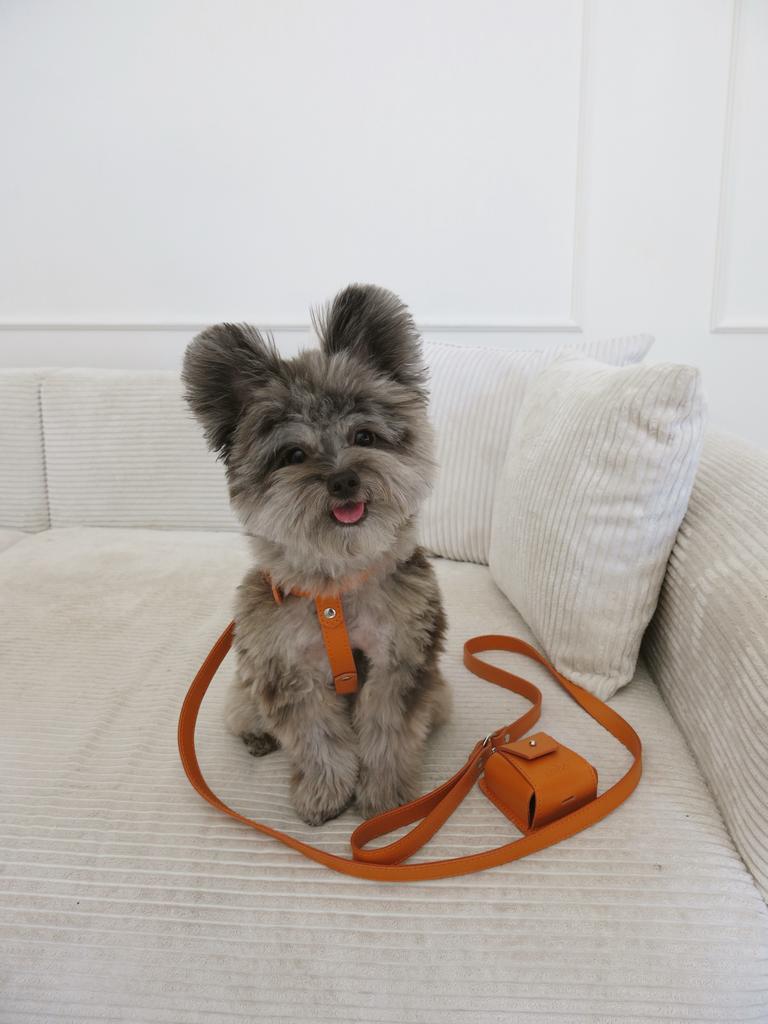 Поводок оранжевый