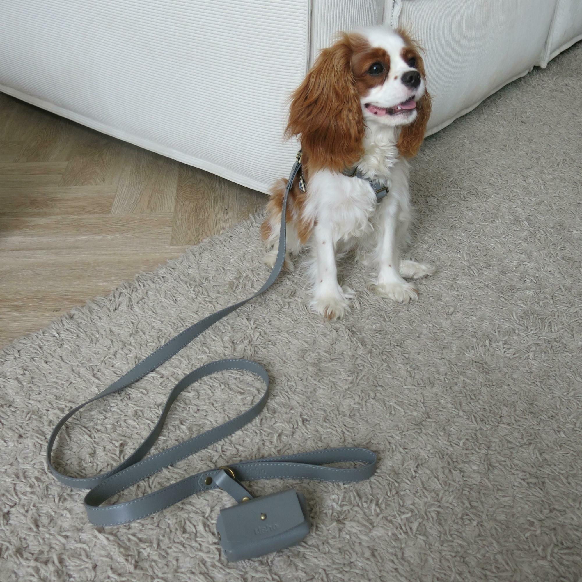 Поводок серый 170 см