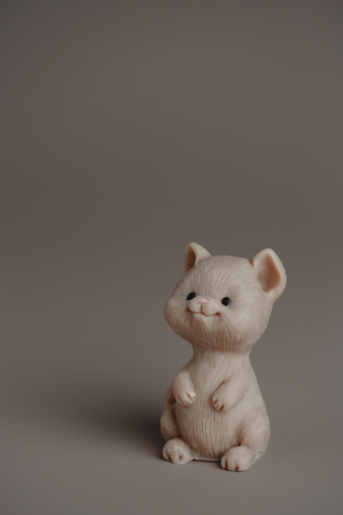 Котёнок Грейси