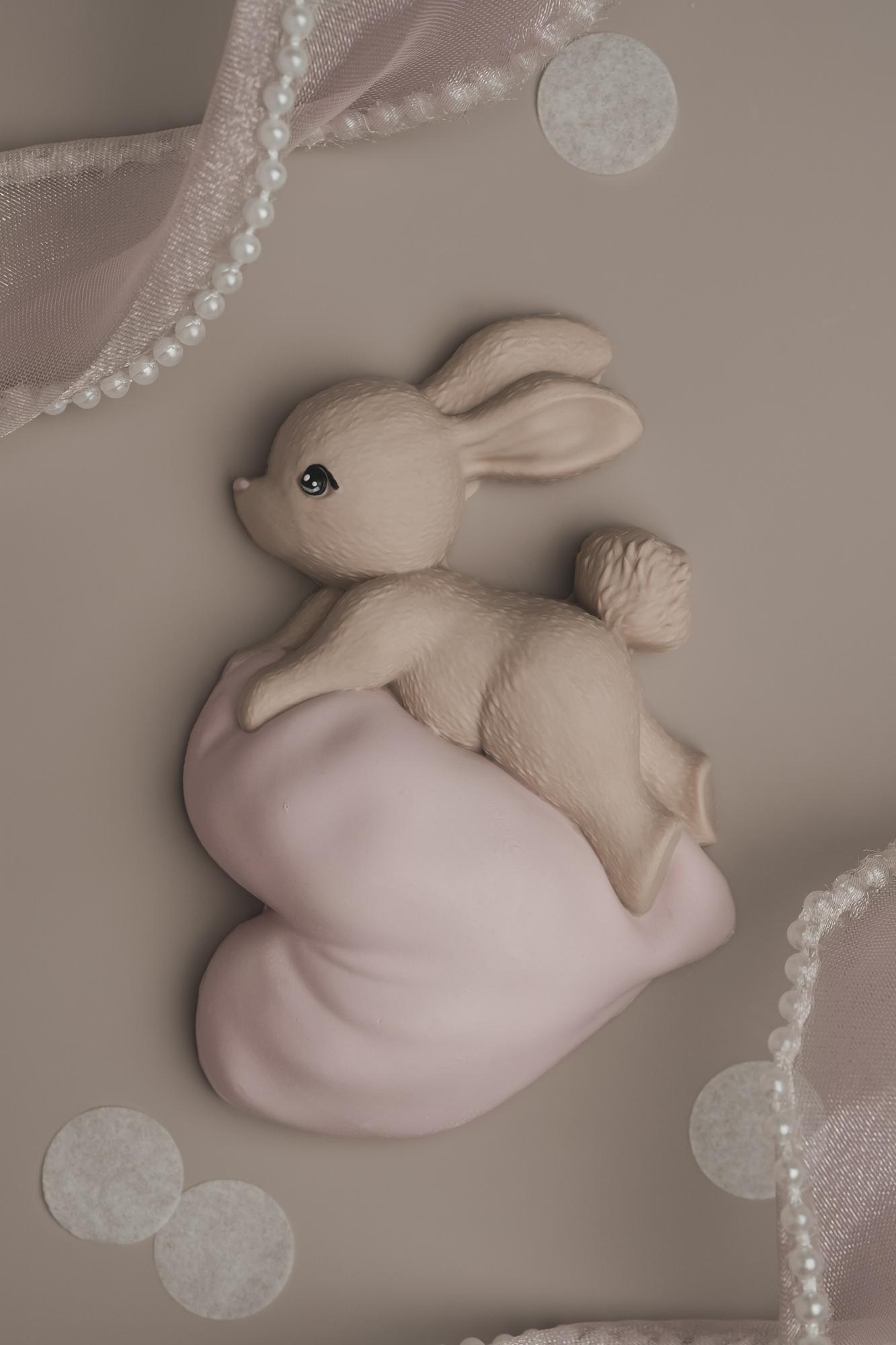 2D - Зайка на сердце