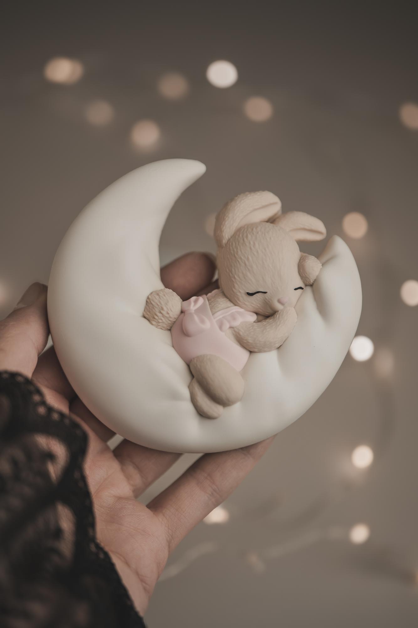 2D - Зайка девочка на луне