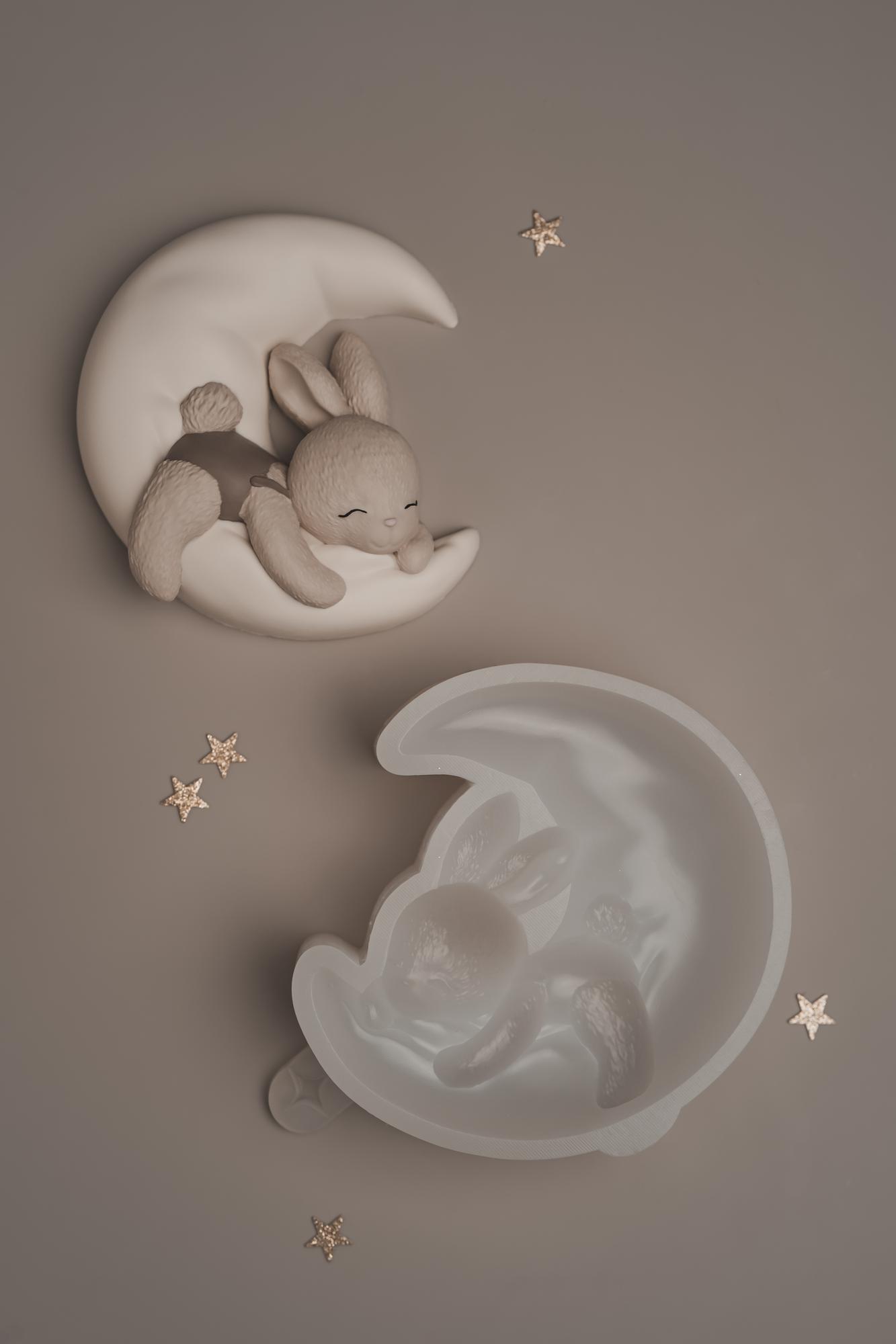 2D - Зайка мальчик на луне