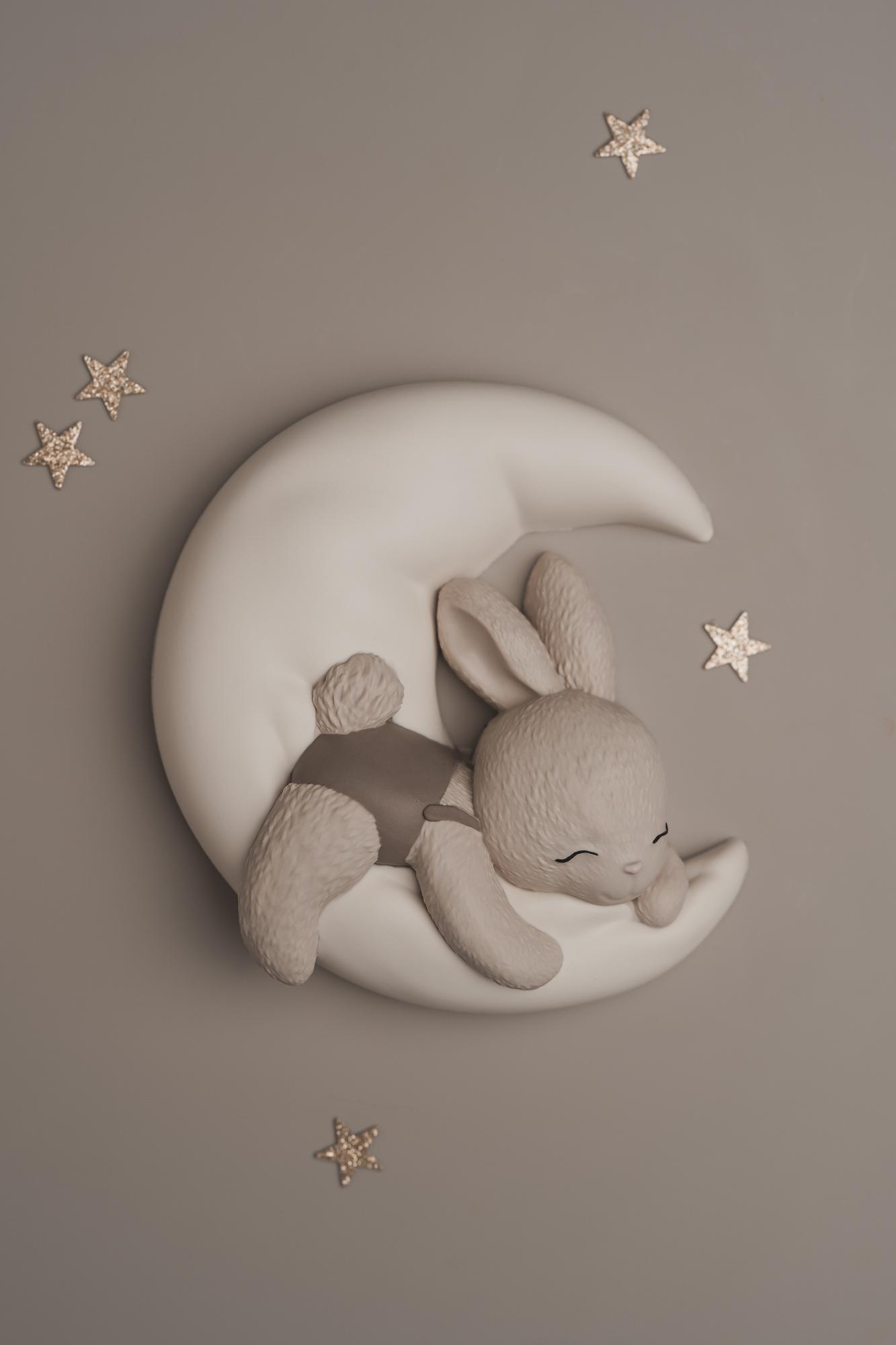 2D - Зайка мальчик на луне