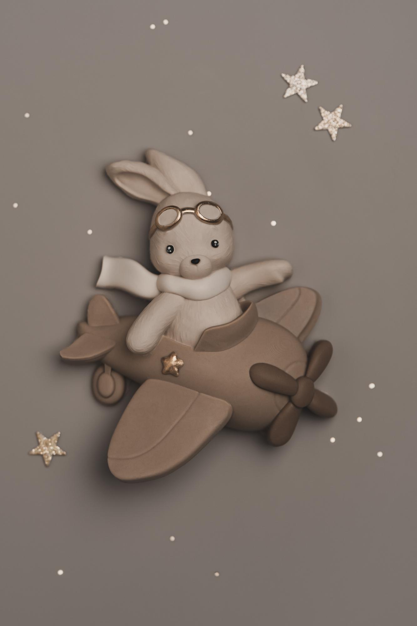 2D - Зайка на самолёте