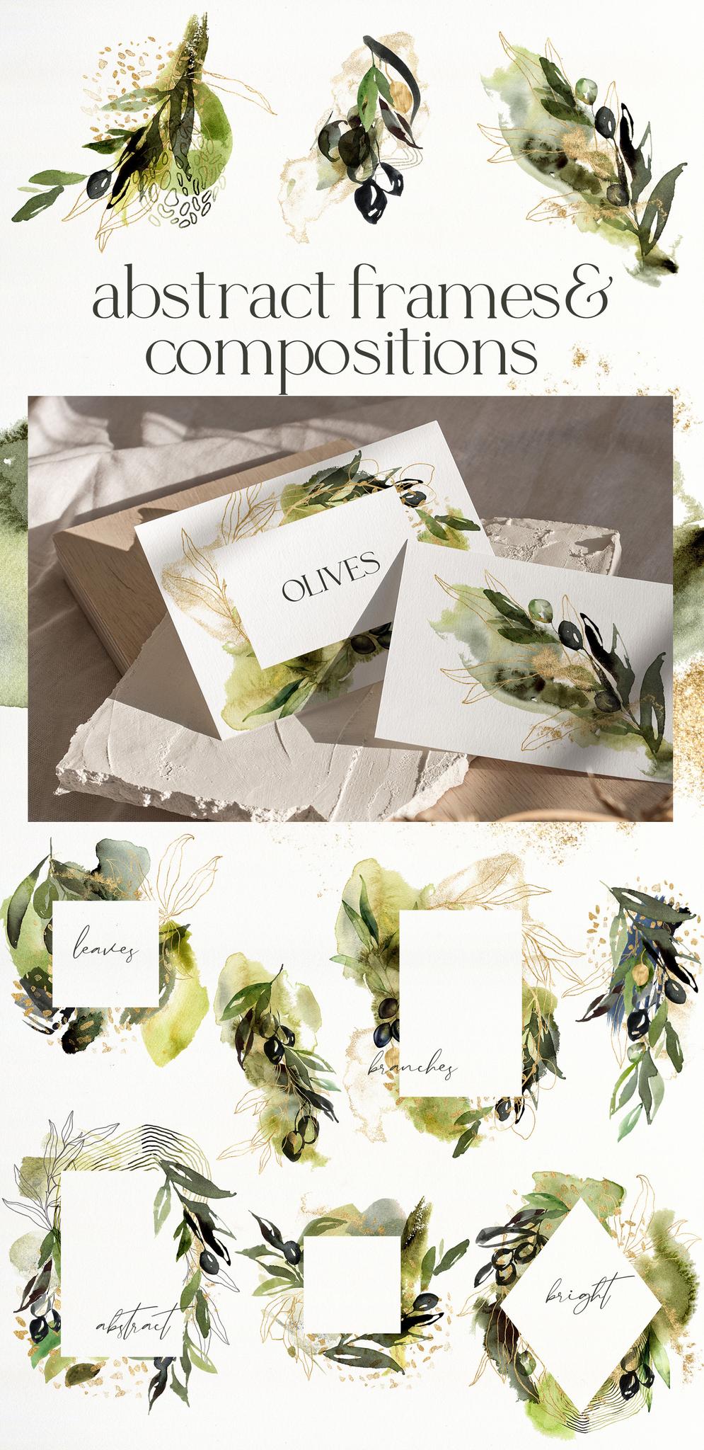 Olive Branch Foliage Illustrations | Watercolor & Vector Botanical art