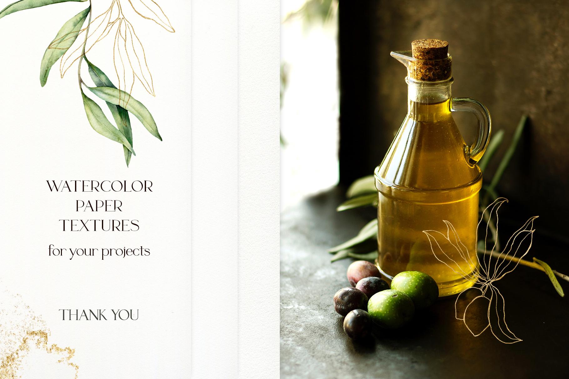 Olive Branch Foliage Illustrations | Watercolor & Vector Botanical art