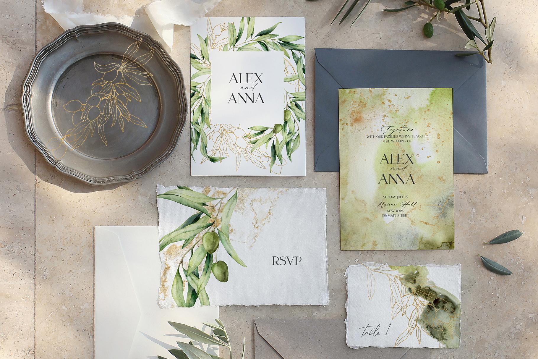 Olive Branch Foliage Illustrations | Watercolor & Vector Botanical art