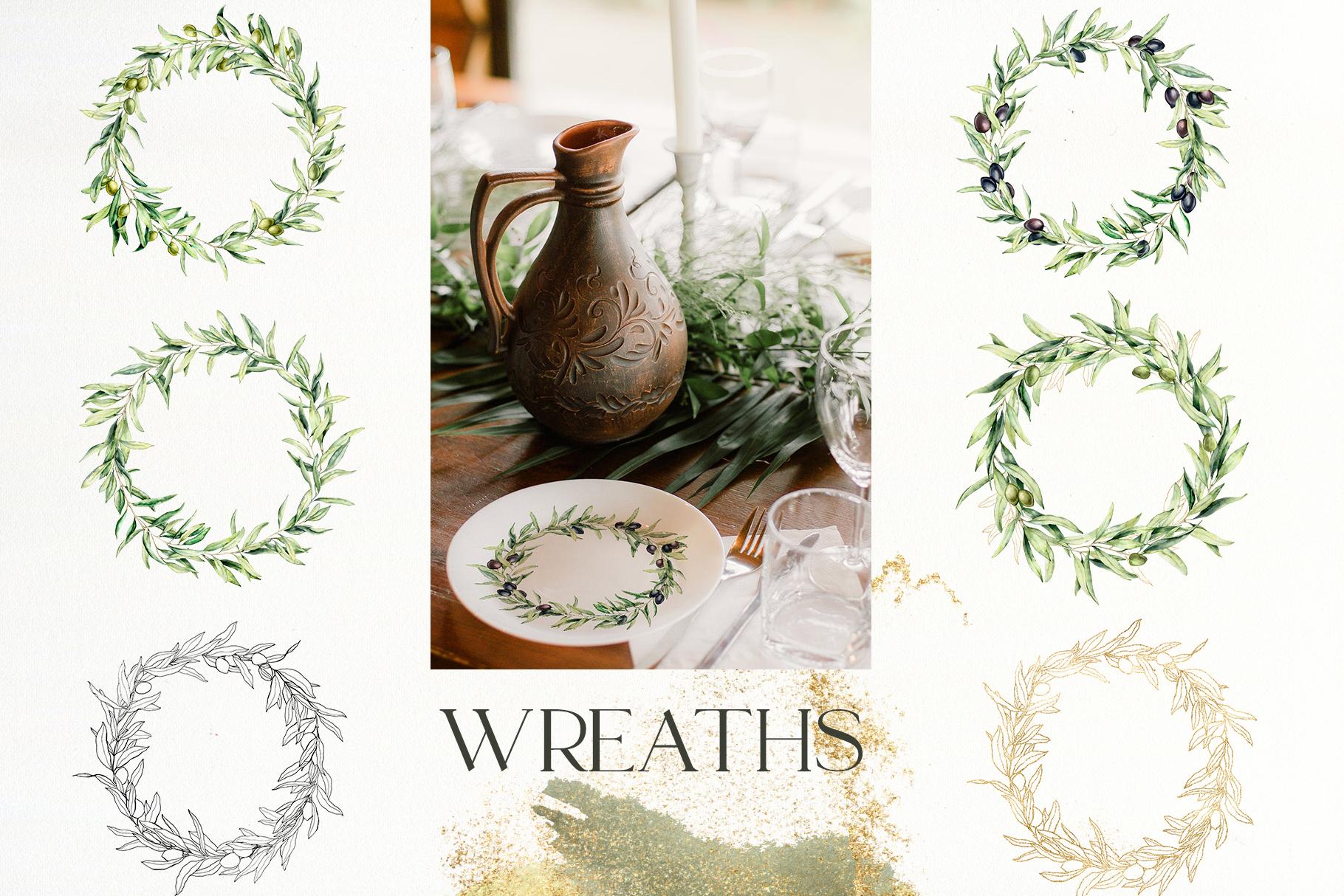 Olive Branch Foliage Illustrations | Watercolor & Vector Botanical art