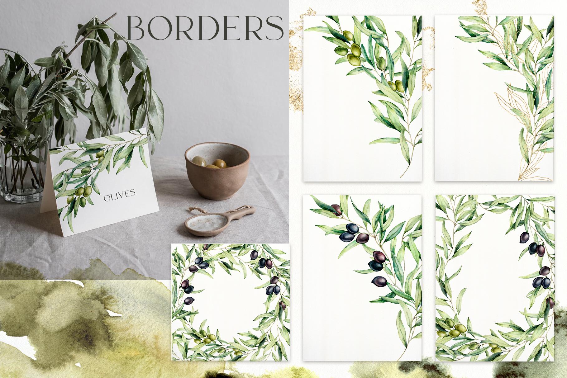 Olive Branch Foliage Illustrations | Watercolor & Vector Botanical art