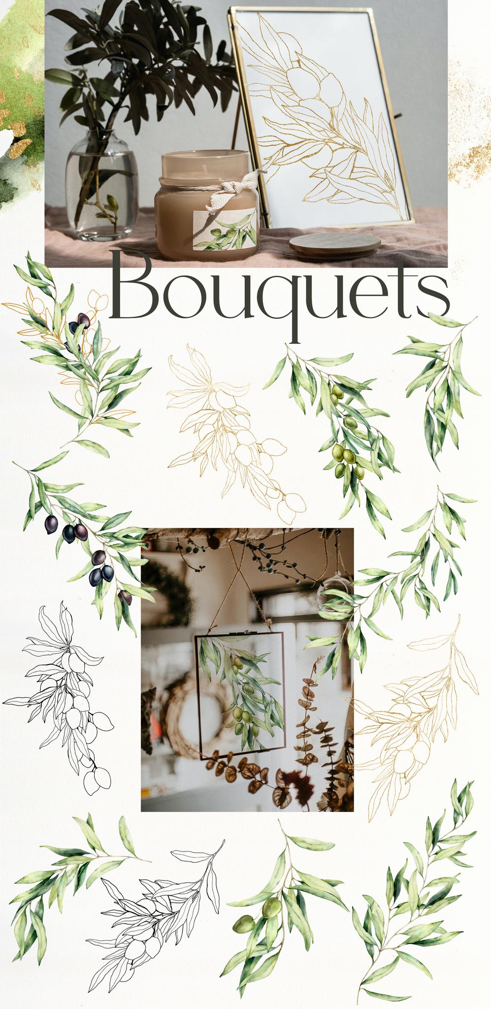 Olive Branch Foliage Illustrations | Watercolor & Vector Botanical art