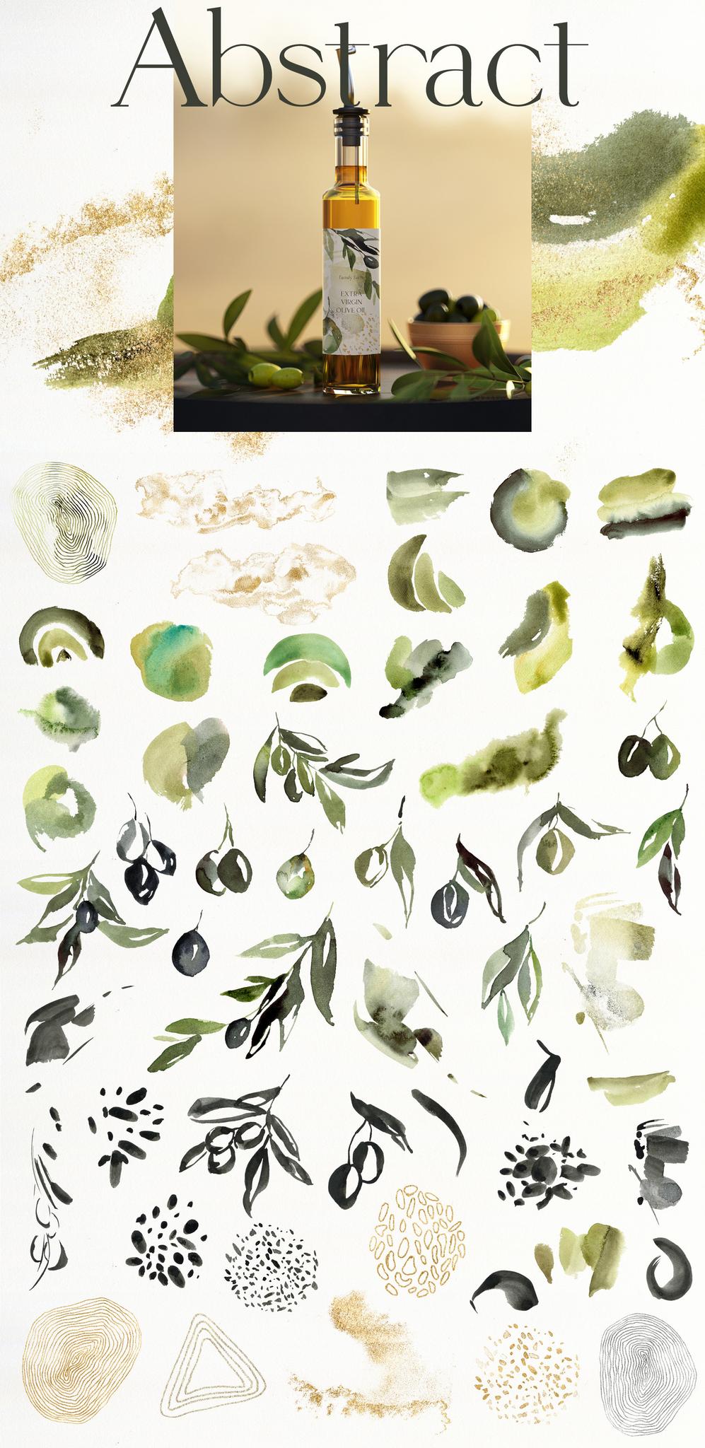 Olive Branch Foliage Illustrations | Watercolor & Vector Botanical art