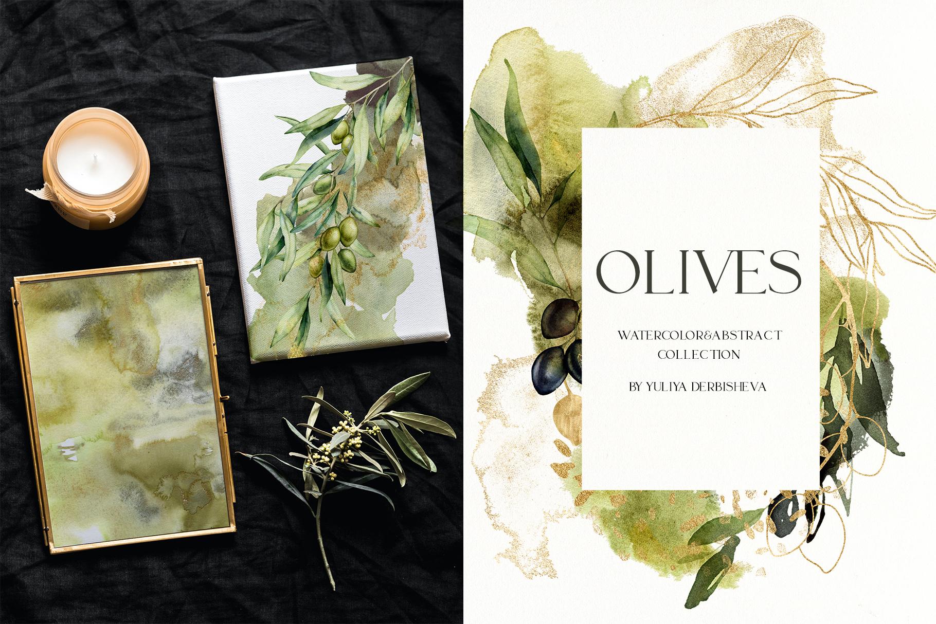 Olive Branch Foliage Illustrations | Watercolor & Vector Botanical art
