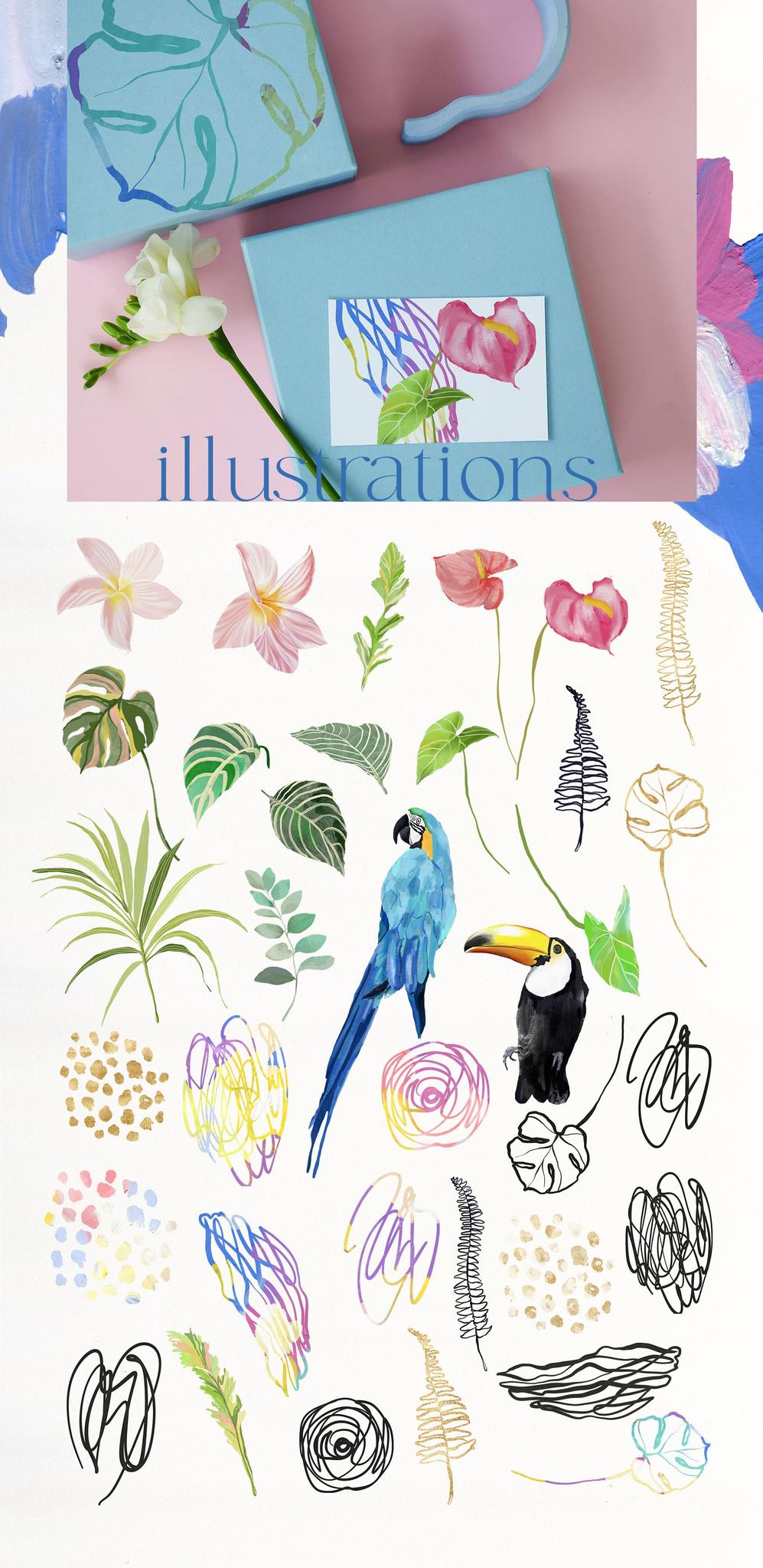 La Costa bright summer backgrounds + tropical birds