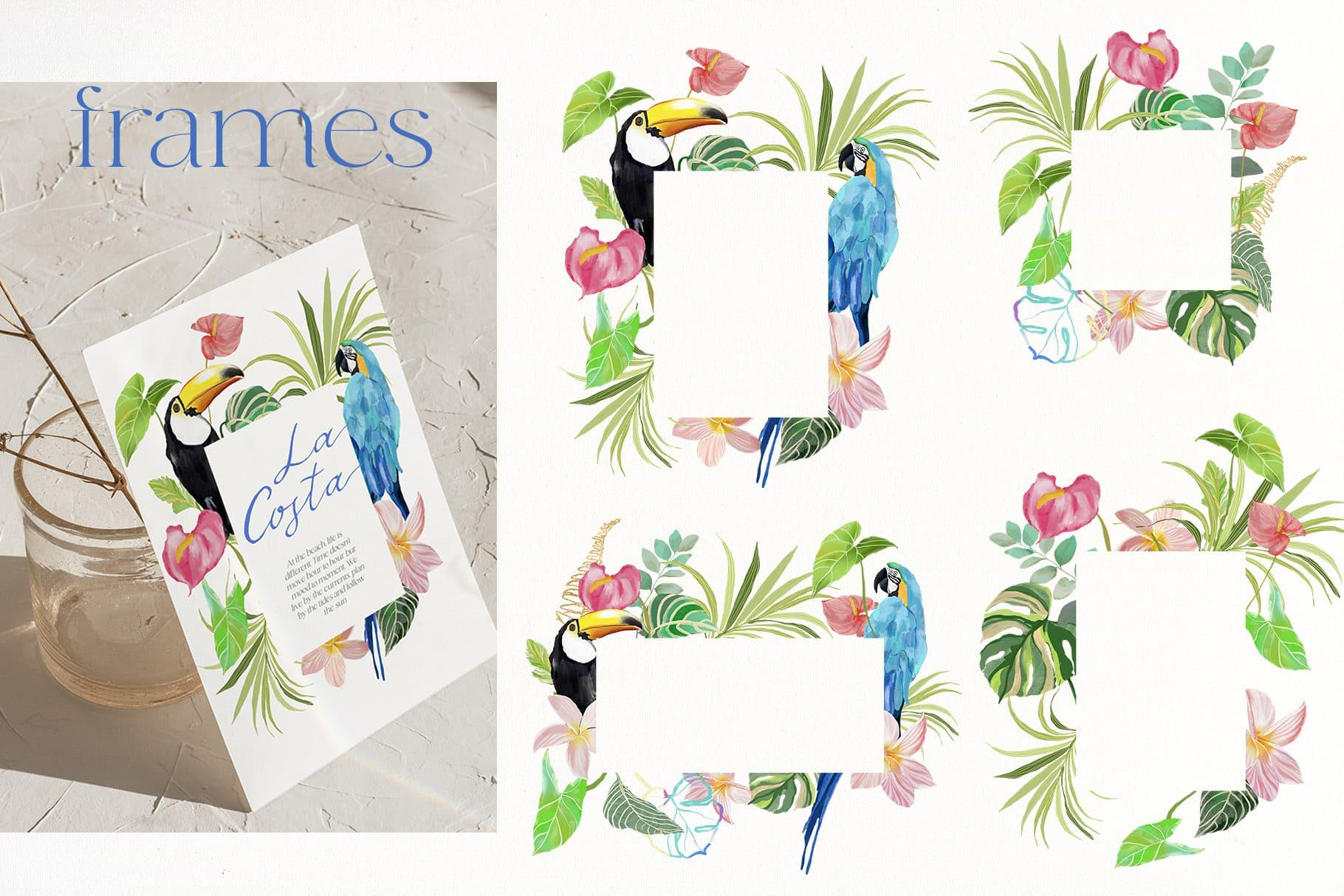 La Costa bright summer backgrounds + tropical birds