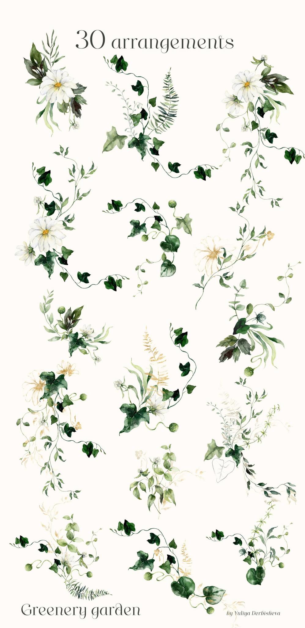 Greenery garden watercolor foliage illustrations clipart