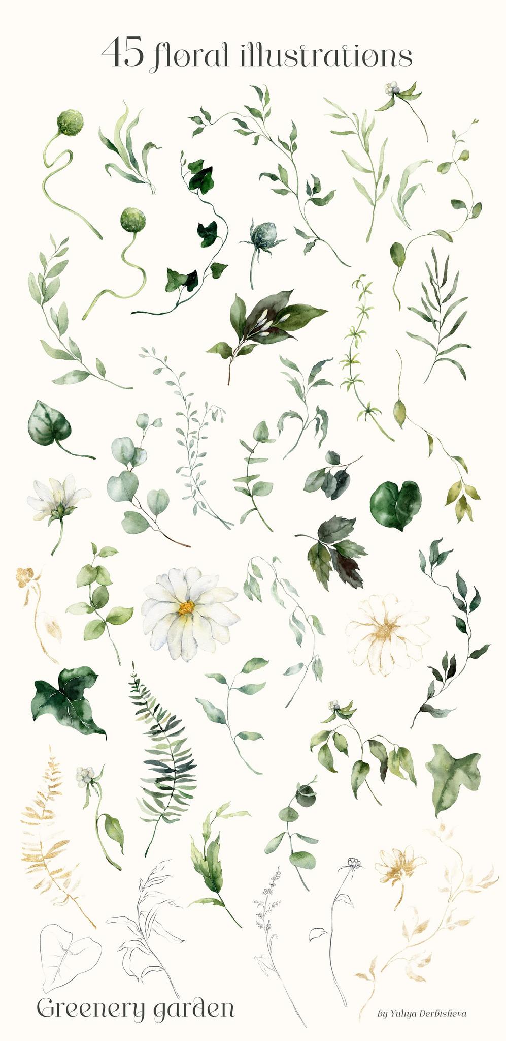 Greenery garden watercolor foliage illustrations clipart