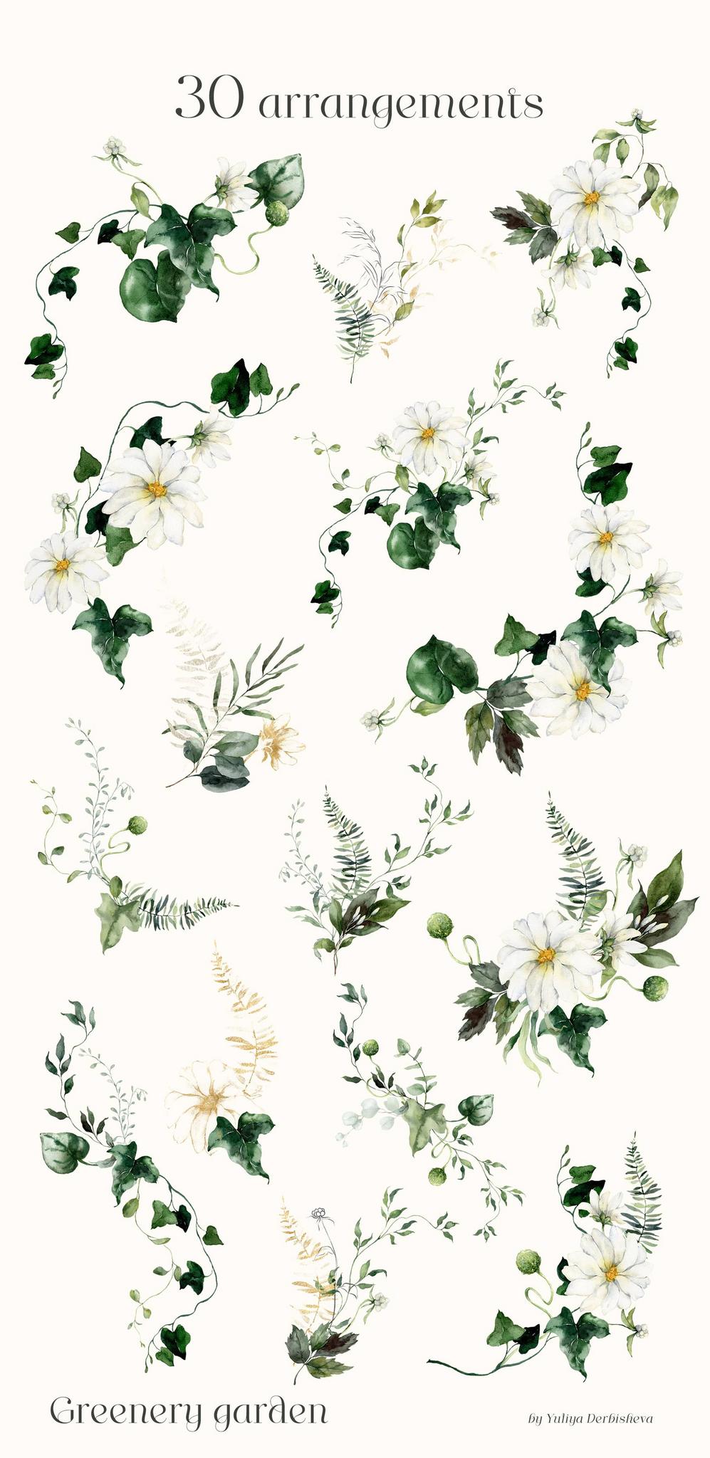 Greenery garden watercolor foliage illustrations clipart