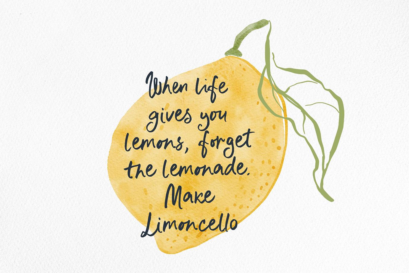 Fichi from Capri whimsical script font handwriting modern handwritten calligraphy
