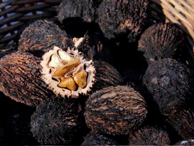 Орех Черный