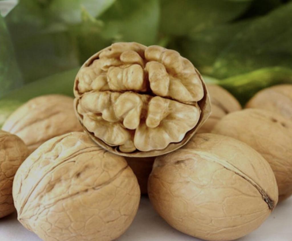 Орех грецкий "Лидер"